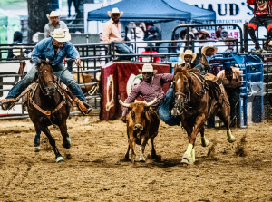 The Bill Pickett Invitational Rodeo Returns to the Atlanta Area August 1 and 2