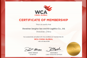 Senghor Logistics leans on WCA network to de-risk China shipping for SMEs
