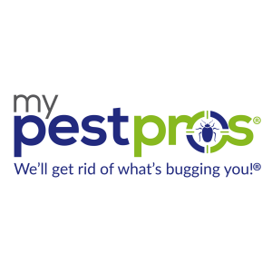 My Pest Pros warns stink bug season is the real alarm for rodent invasions