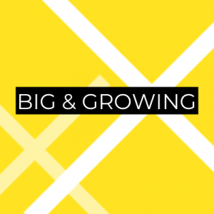 Big & Growing New Work Festival returns to Munich after four years