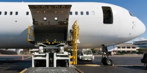 Senghor Logistics challenges direct carrier bookings for shippers